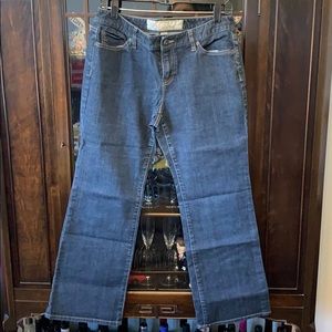 Ann Taylor Loft 10P Curvy Boot Jeans